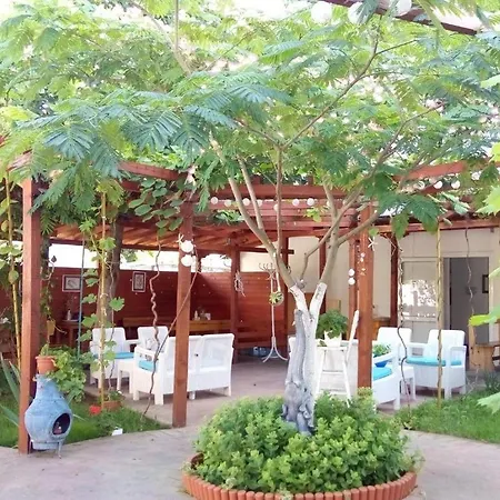 N 普里莫尔斯科