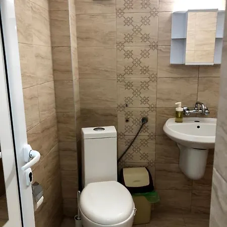 N * 普里莫尔斯科