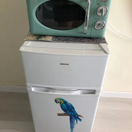 N * 普里莫尔斯科