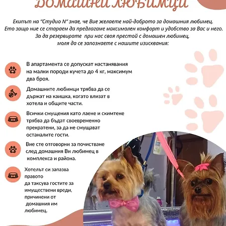 公寓 N 普里莫尔斯科